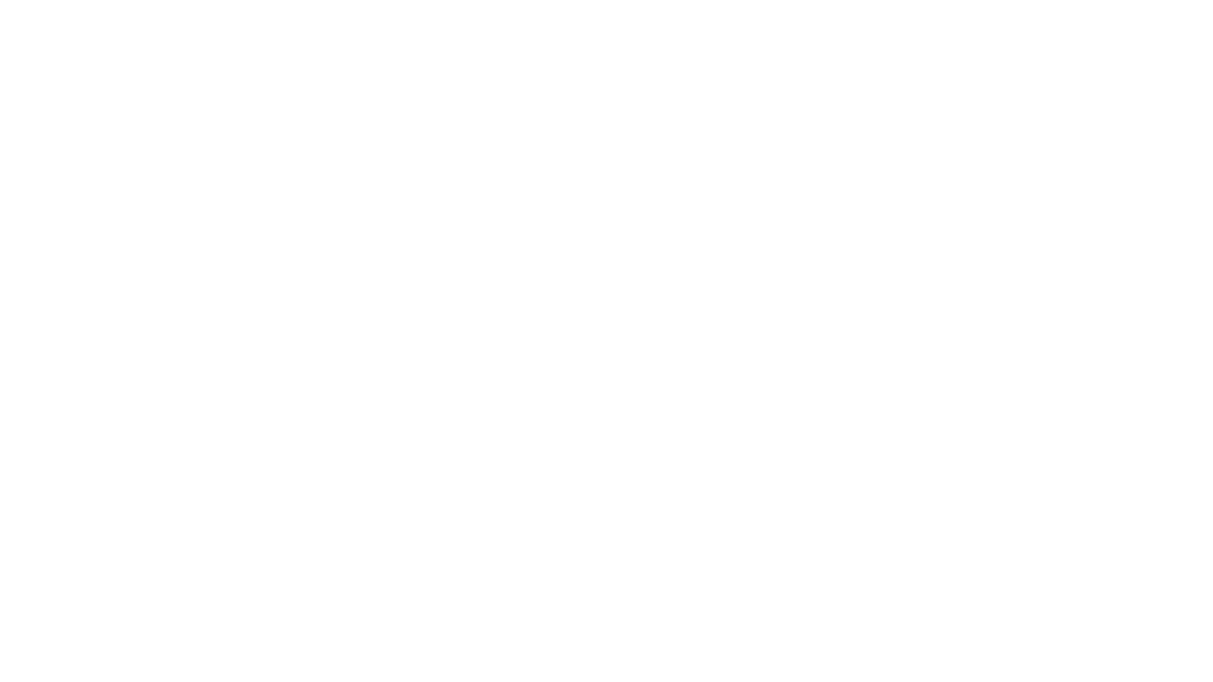 Automagical-WordPress-SEO-Management.png